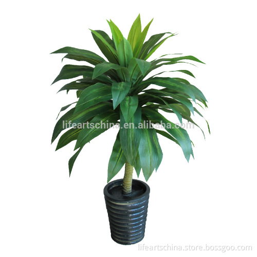 100cm plastic dracaena, 2016 fresh design artificial plant